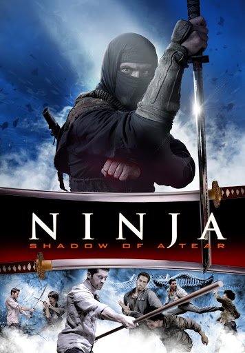 Ninja: Shadow of a Tear - VJ Jingo